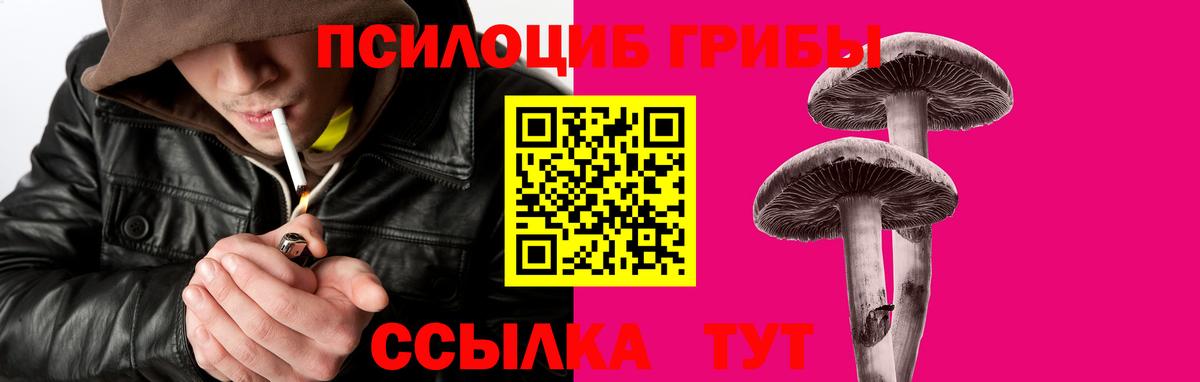 Новокубанск  Псилоцибиновые грибы Psilocybine cubensis  купить наркотики цена  Вход с VPN 